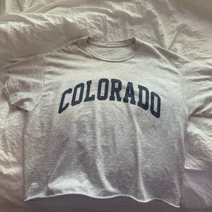 brandy melville colorado cropped t shirt